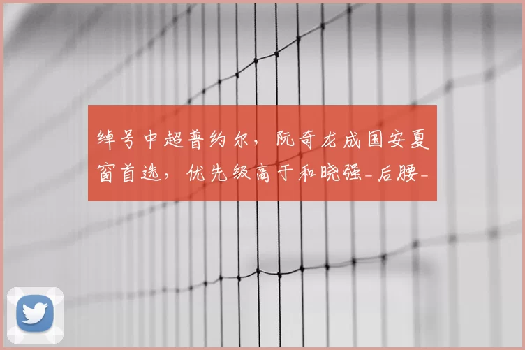 绰号中超普约尔，阮奇龙成国安夏窗首选，优先级高于和晓强_后腰_中卫_位置
