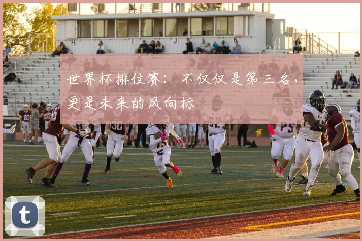 世界杯排位赛：不仅仅是第三名，更是未来的风向标