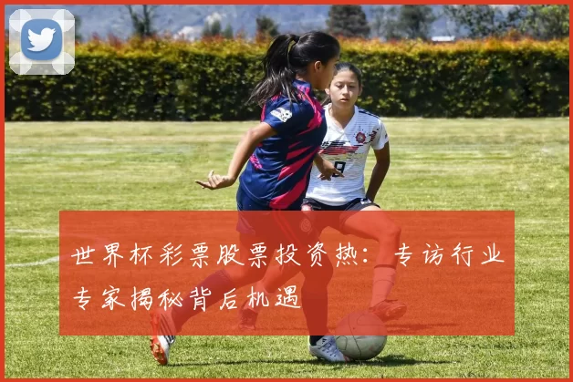 世界杯彩票股票投资热：专访行业专家揭秘背后机遇