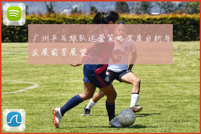 广州乒乓球队运营策略深度分析与发展前景展望