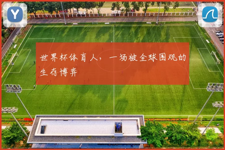 世界杯体育人，一场被全球围观的生存博弈