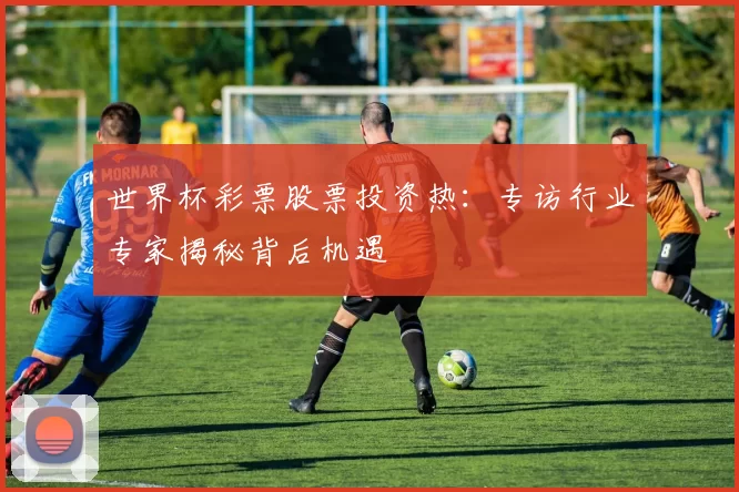 世界杯彩票股票投资热：专访行业专家揭秘背后机遇
